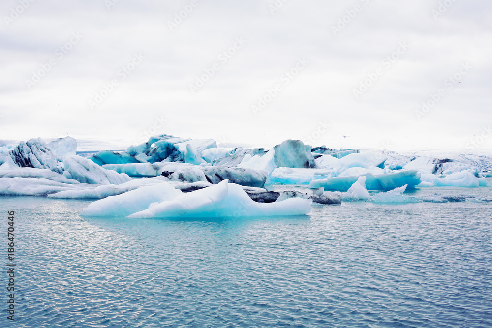 icebergs in water