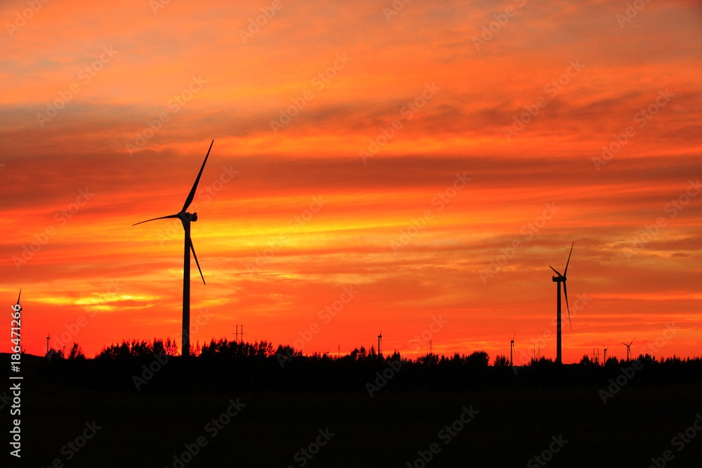 Obraz premium Wind turbines in the evening