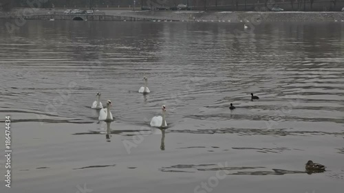 The Quay on the rivers. photo