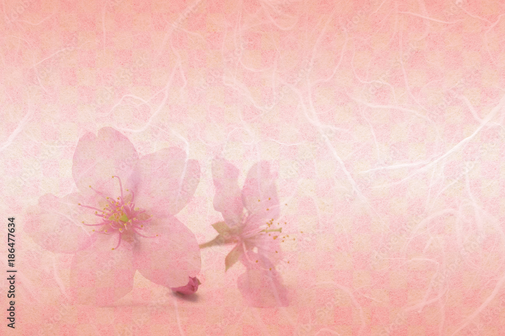 Japanese cherry blossom on pink checkered pattern paper background