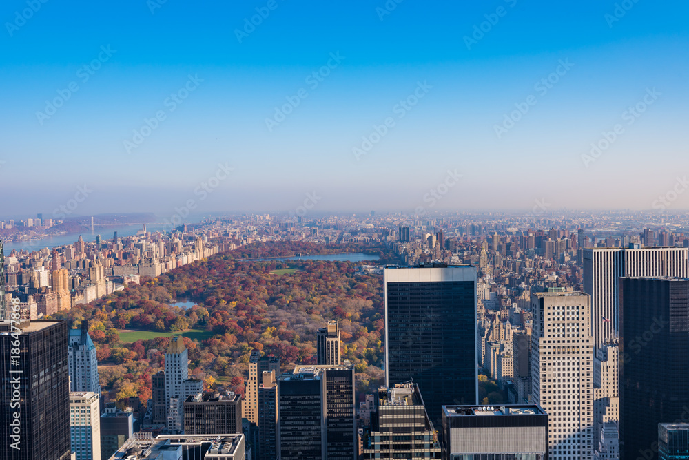 Fototapeta premium ニューヨーク・マンハッタンのセントラルパーク