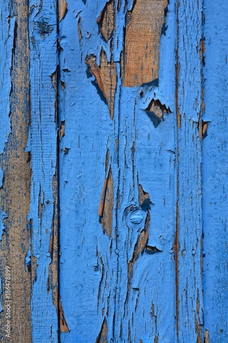 Blue wood texture. Old wood texture.