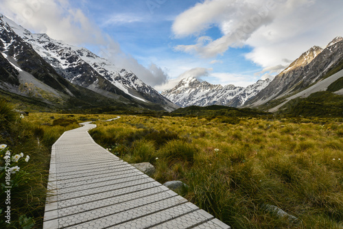 Walk way bridge to Mt Cook New Zealand