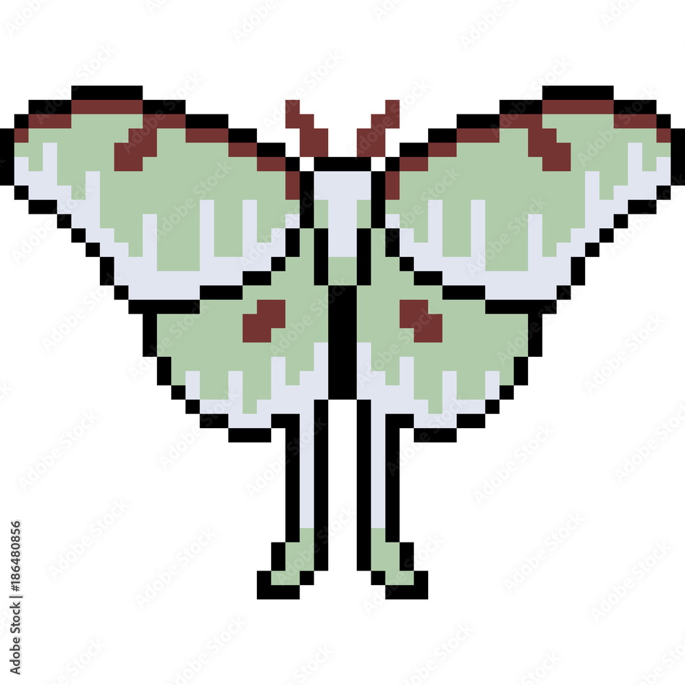Fototapeta premium vector pixel art moth