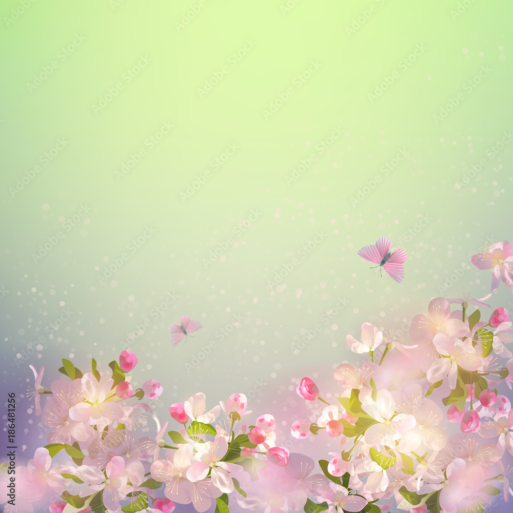 Spring Apple Blossom Spring Apple Blossom