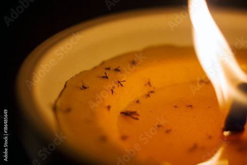 A lighted mosquito candle close-up with a burning wick and stuck mosquitoes on wax