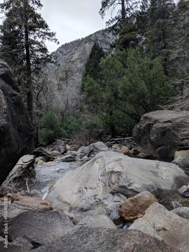 Stream through pines and mountain