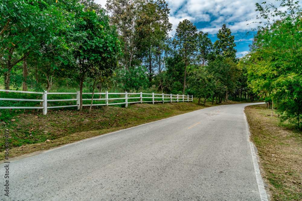 Asphalt country road