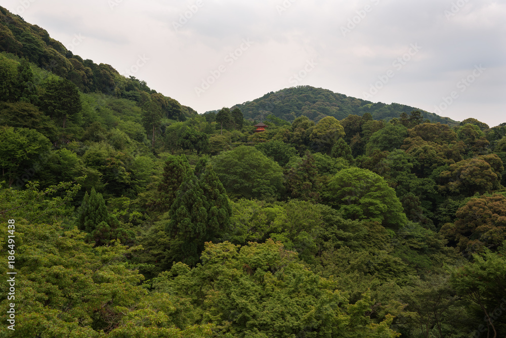 Pagoda of the Kiyomizu-dera temple hiding behind the green leafs on the hills around Kyoto, Japan Pagoda of the Kiyomizu-dera temple hiding behind the green leafs on the hills around Kyoto, Japan