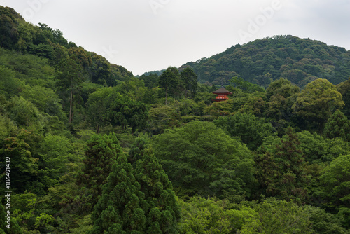 Pagoda of the Kiyomizu-dera temple hiding behind the green leafs on the hills around Kyoto  Japan
