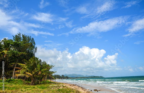Fototapeta Naklejka Na Ścianę i Meble -  seascape beach palm in south Thailand