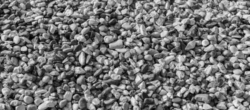 Pebble beach background. Black and white