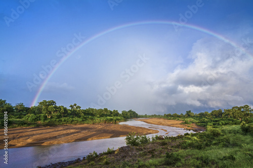 Scenery in Shingwedzi river in Kruger National park, South Africa photo