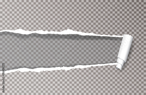 trans ripped paper wide