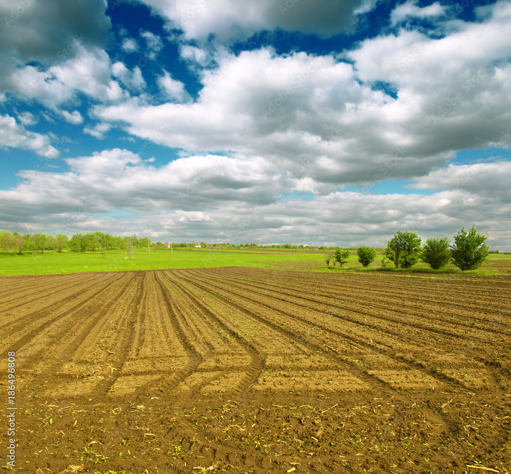 Plowed field in spring time