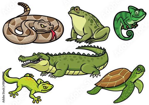Fototapeta Naklejka Na Ścianę i Meble -  set of reptile cartoon illustration