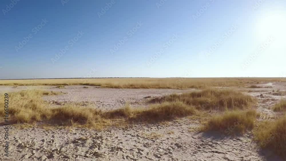 Side view traveling along arid desert salt plain under a clear blue sky Side view traveling along arid desert salt plain under a clear blue sky