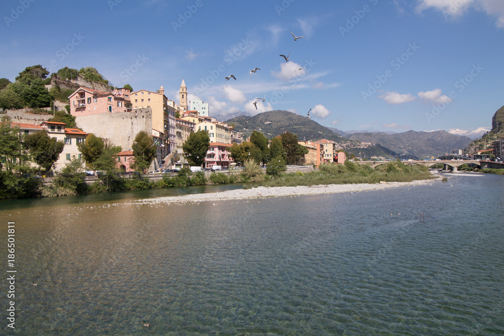 ventimiglia landscape with flock of birds flying in the sky