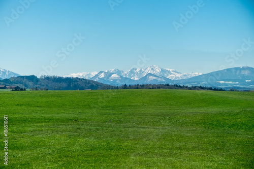 meadow alps landscape in summer hiking weather