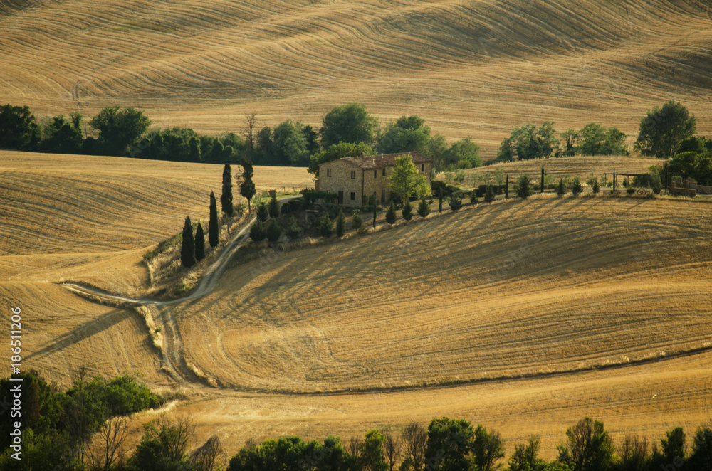 Tuscany farm among golden hills and cypresses