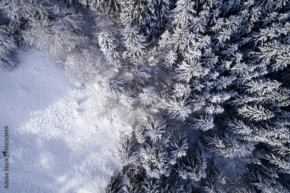 Fototapeta premium aerial flight with drone over coniferous forest in winter in austria in salzburg