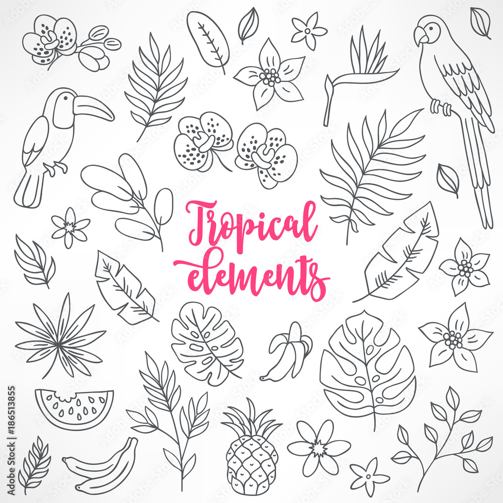 Fototapeta premium Set of contour tropical elements. Toucan, macaw, bamboo, pineapple, orchid