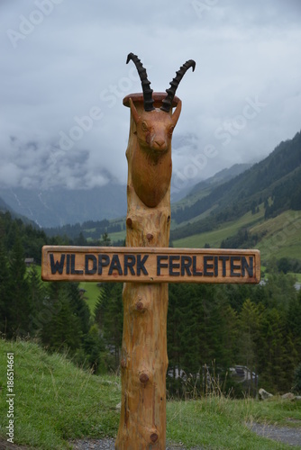 Wildpark Ferleiten photo