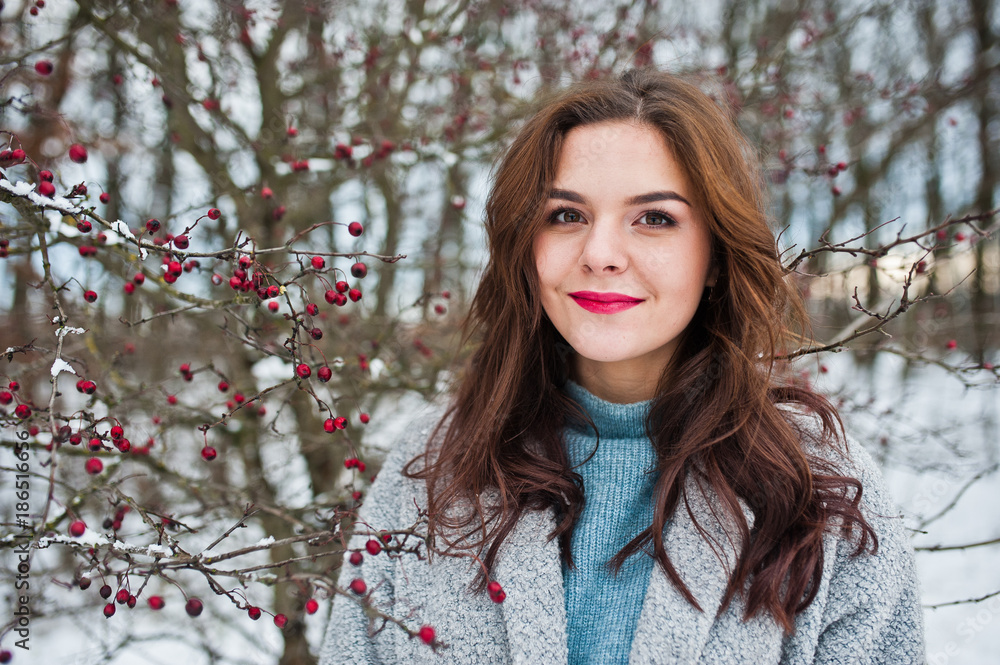 Close up portrait of gentle girl in gray coat near the branches of a snow-covered tree. Close up portrait of gentle girl in gray coat near the branches of a snow-covered tree.