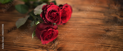 Symbolic red roses for valentines day