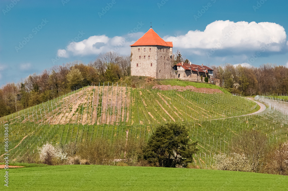 Burg Wildeck bei Abstatt