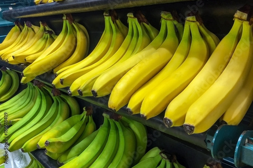 Fresh bananas in supermarket