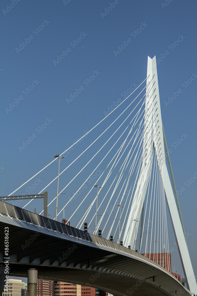 Obraz premium Erasmus Bridge in Rotterdam, Netherlands