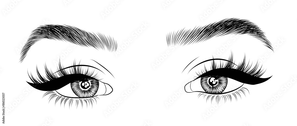 Hand-drawn woman's sexy luxurious eye with perfectly shaped eyebrows and full lashes. Idea for business visit card, typography vector. Perfect salon look. Hand-drawn woman's sexy luxurious eye with perfectly shaped eyebrows and full lashes. Idea for business visit card, typography vector. Perfect salon look.