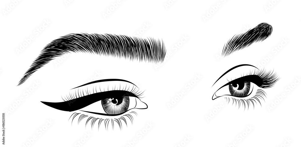 Hand-drawn woman's sexy luxurious eye with perfectly shaped eyebrows and full lashes. Idea for business visit card, typography vector. Perfect salon look.