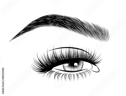 Hand-drawn woman's fresh luxurious eye with perfectly shaped eyebrows and full lashes. Idea for business visit card, typography vector. Perfect salon look.