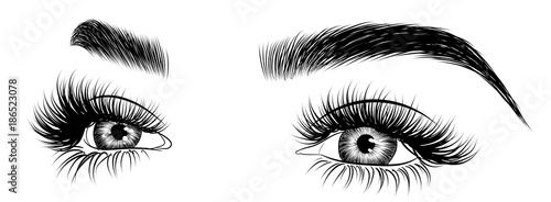 Hand-drawn woman's fresh luxurious eye with perfectly shaped eyebrows and full lashes. Idea for business visit card, typography vector. Perfect salon look.