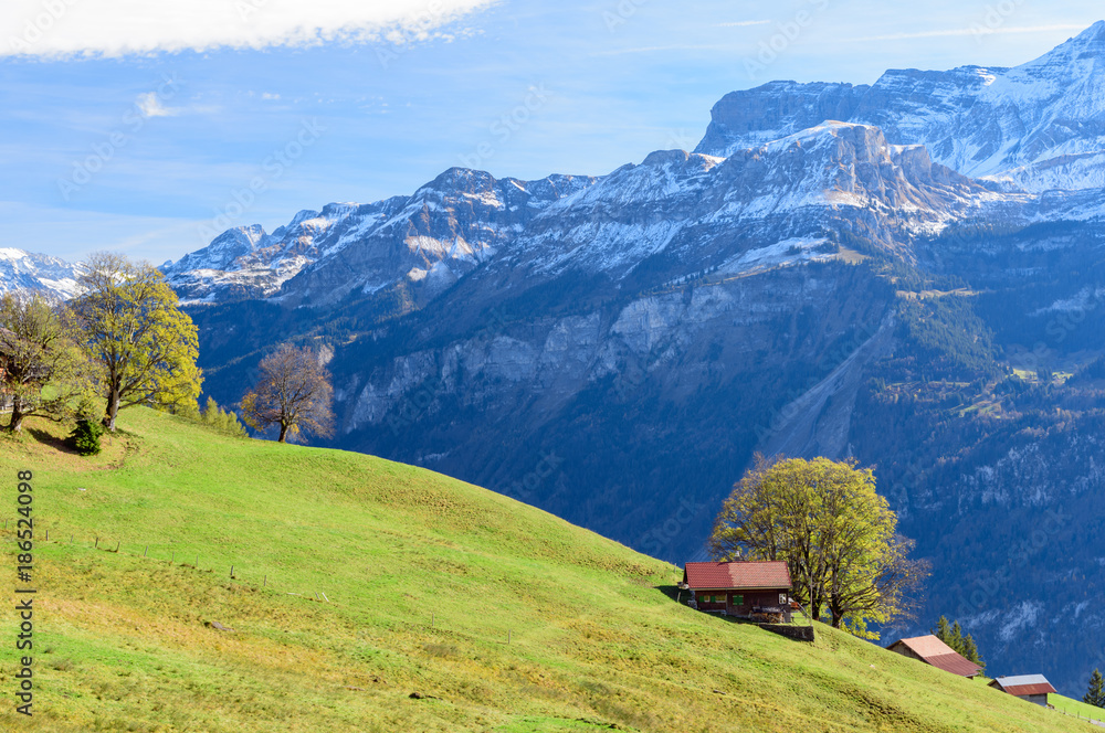 Panoramic view of lake Brienz & Swiss alps from classic old red train, Brienz Rothorn Bahn during autumn season
