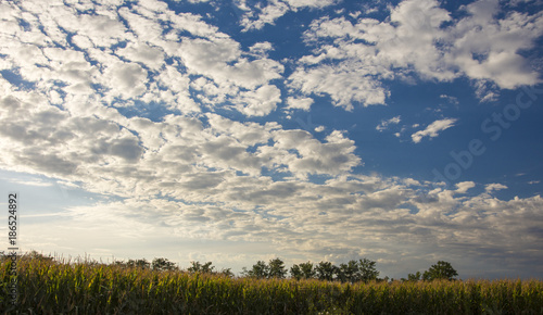 clouds in a Treviso countryside sky