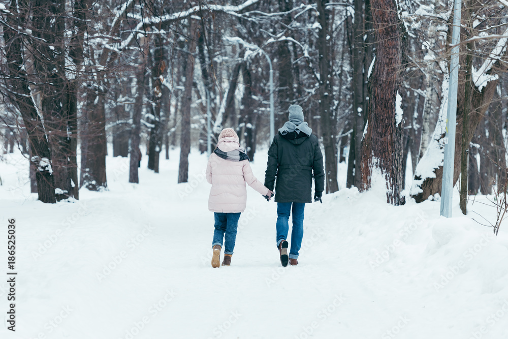 back view of couple holding hands and walking in winter park