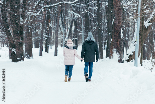 back view of couple holding hands and walking in winter park © LIGHTFIELD STUDIOS