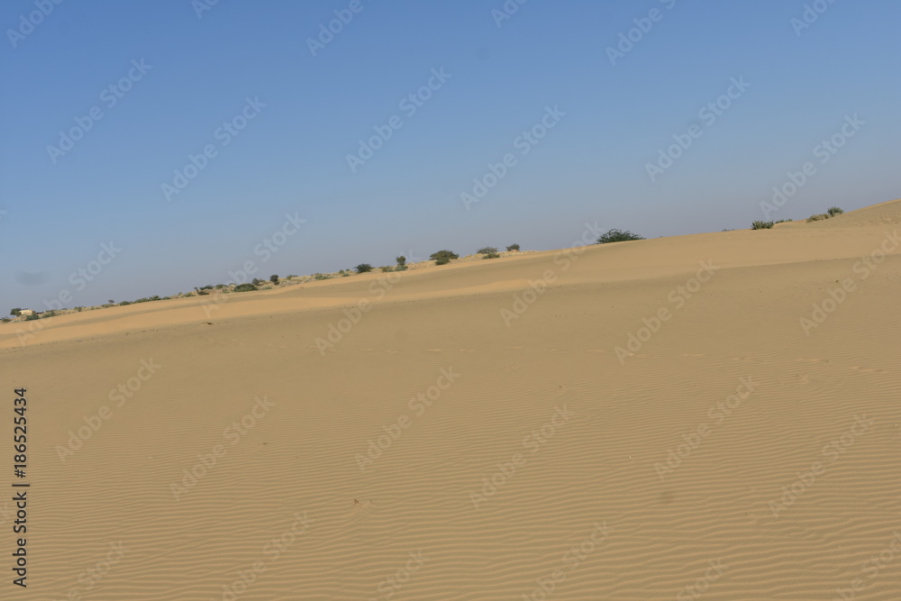 sam sand dunes in thar desert jaisalmer rajasthan india sam sand dunes in thar desert jaisalmer rajasthan india