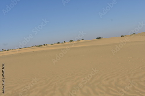 sam sand dunes in thar desert jaisalmer rajasthan india