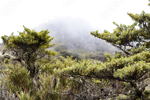 Landschaft und Tieraufnahmen in Costarica