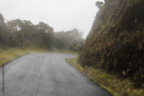 Landschaft und Tieraufnahmen in Costarica