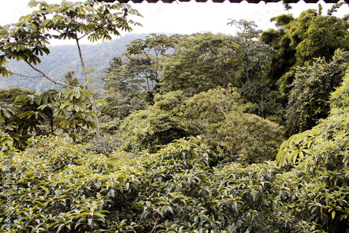 Landschaft und Tieraufnahmen in Costarica