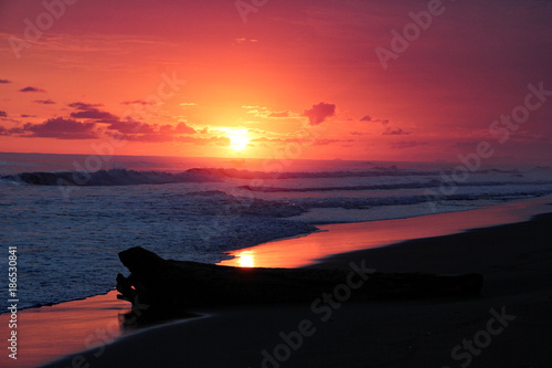 Obraz na płótnie Landschaft und Tieraufnahmen in Costarica