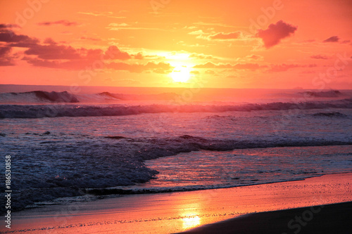 Landschaft und Tieraufnahmen in Costarica