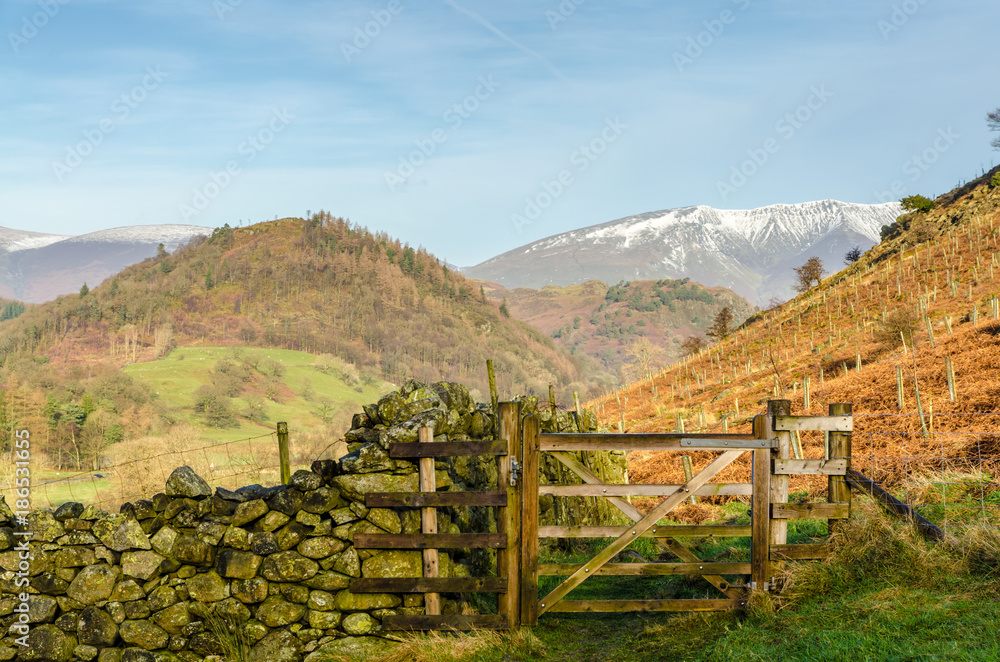 A wooden gate on a hillside in the English lake District with Blencathra in the background