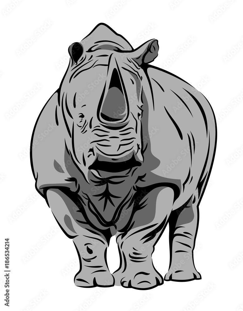 Fototapeta premium Vector image of a rhinoceros