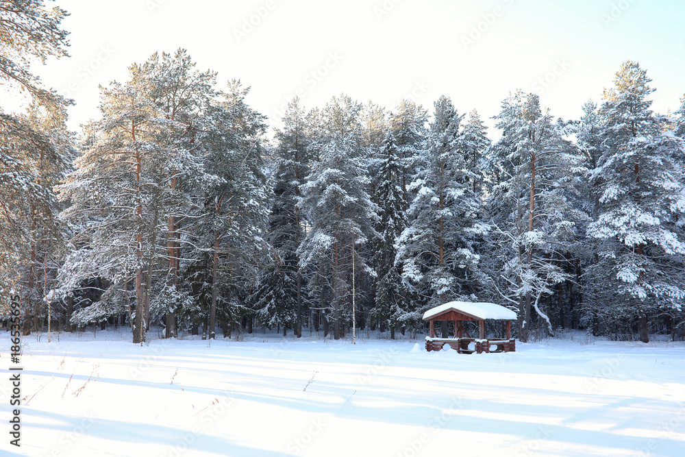 wooden gazebo in forest in winter sunny day wooden gazebo in forest in winter sunny day